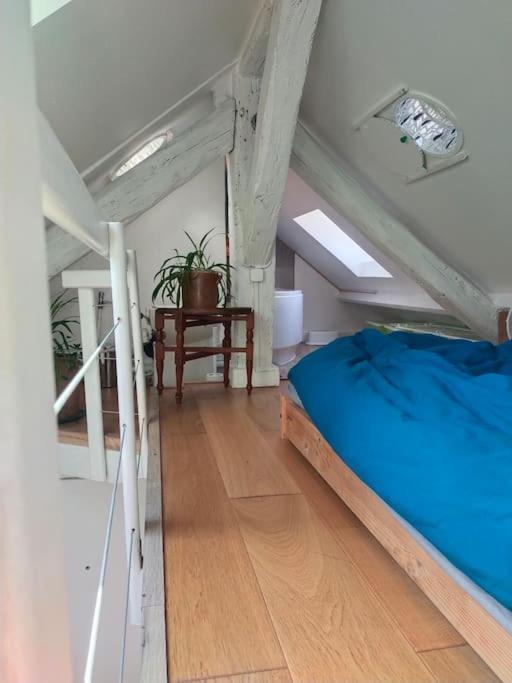 Studio Sous Les Toits Et Mezzanine - Vincennes Bagian luar foto